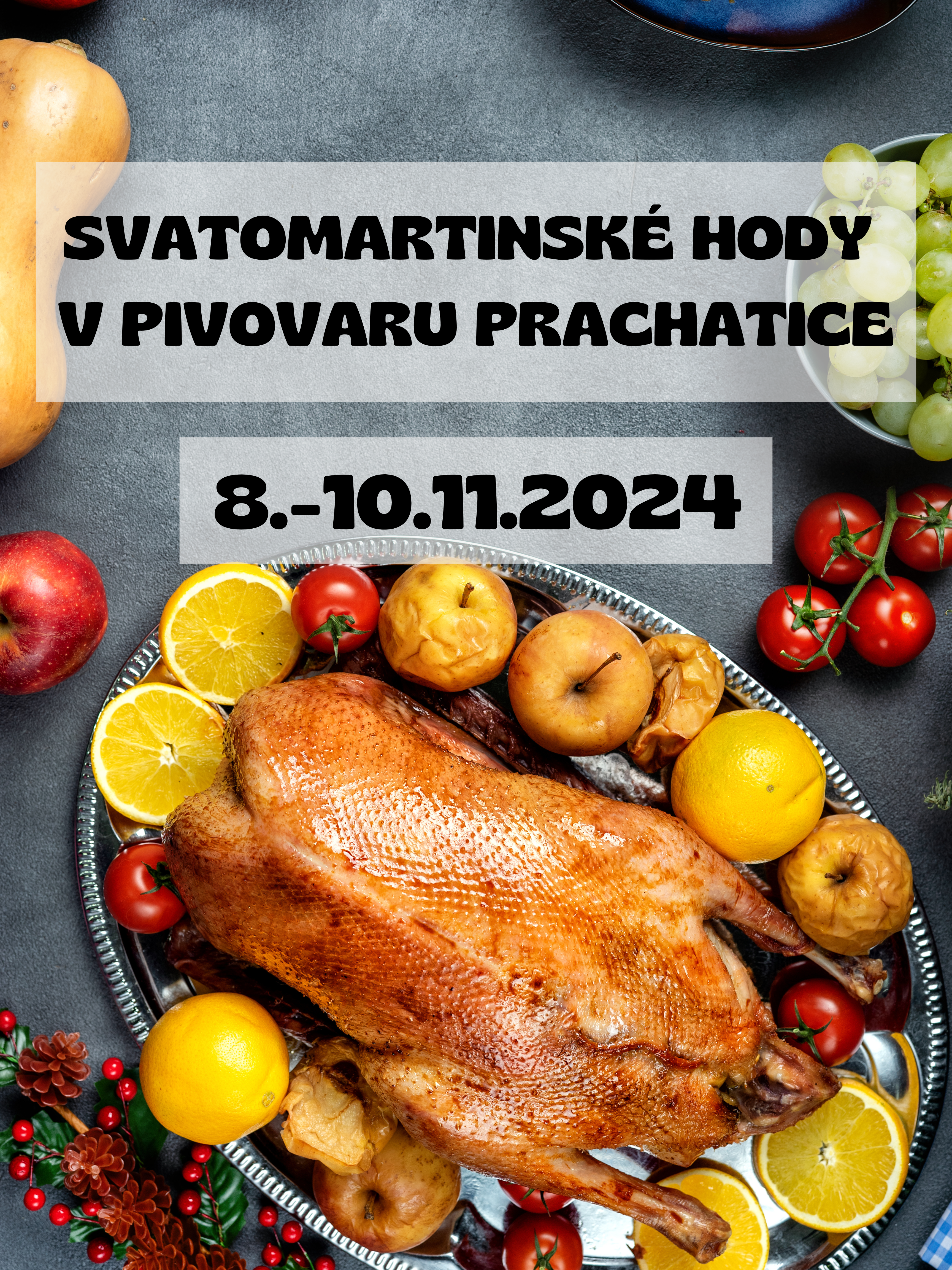 Svatomartinske hody v PP